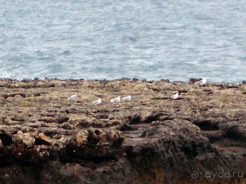 Вкус Апулии или Южанка без прикрас