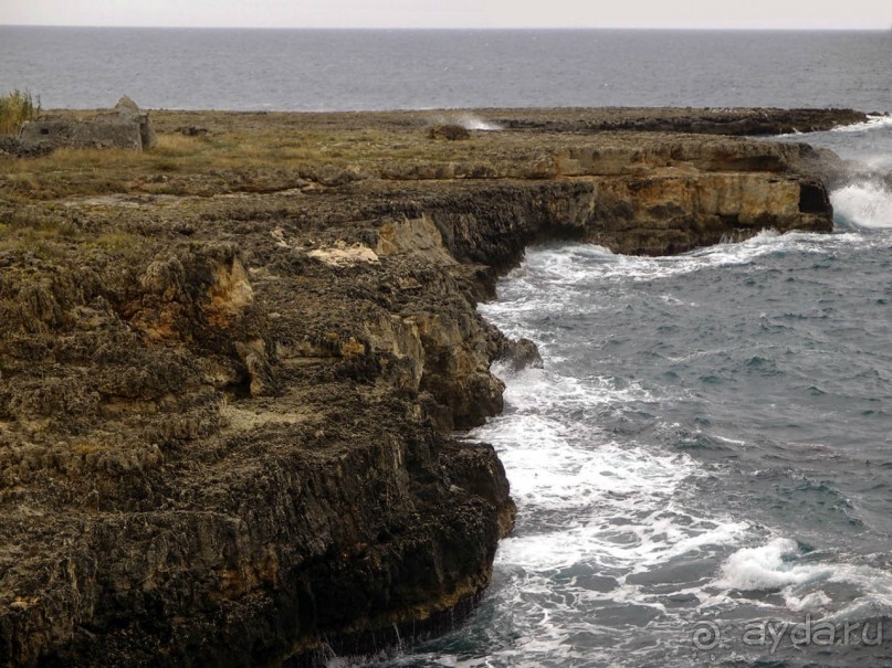 Вкус Апулии или Южанка без прикрас