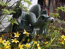 В поиске символов