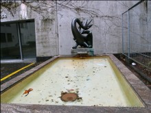 В поиске символов