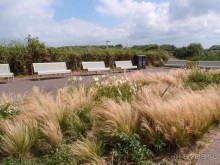 Дюны и музеи Раверсайде