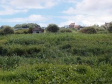 Дюны и музеи Раверсайде