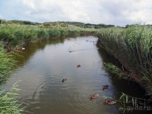 Дюны и музеи Раверсайде