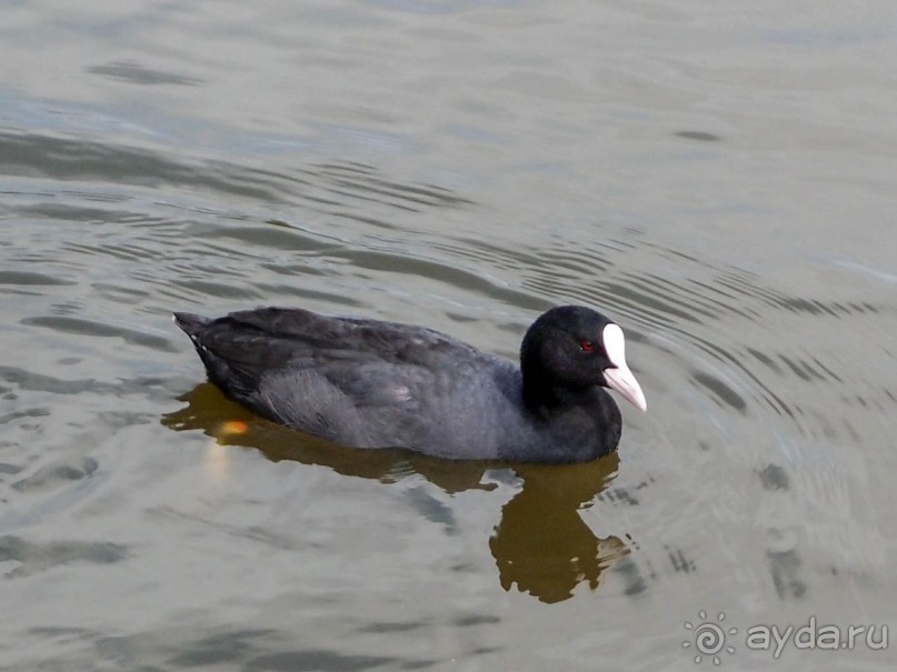 Дюны и музеи Раверсайде