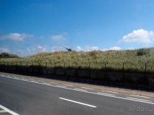 Дюны и музеи Раверсайде