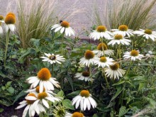 Дюны и музеи Раверсайде