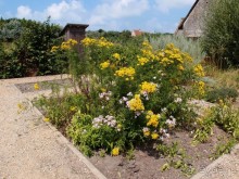 Дюны и музеи Раверсайде