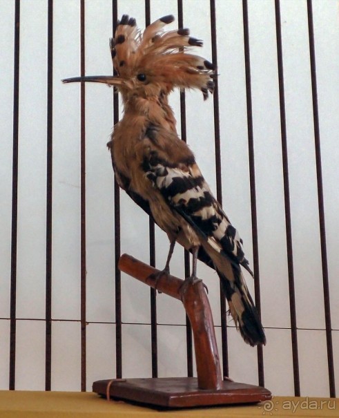 Дюны и музеи Раверсайде