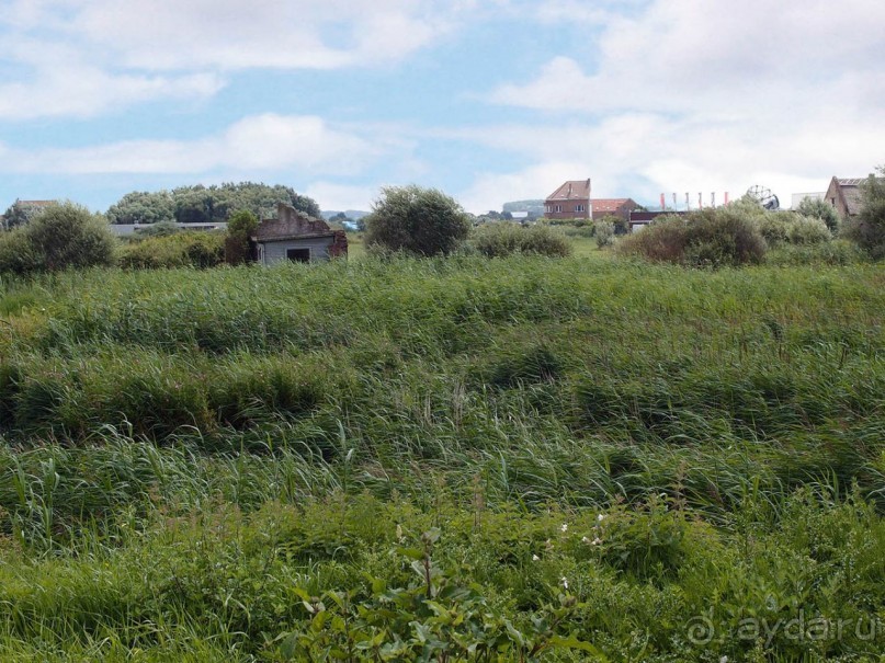 Дюны и музеи Раверсайде