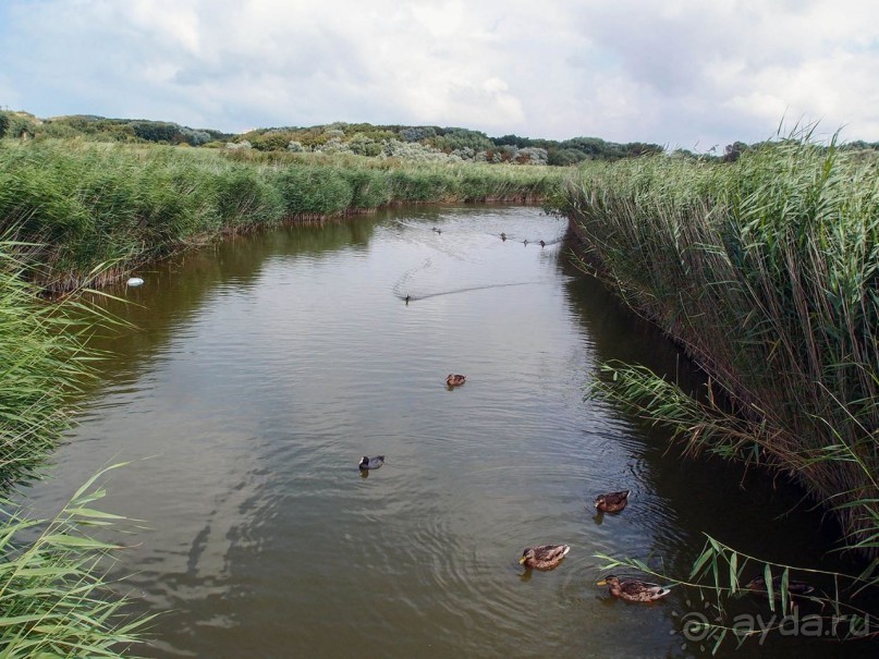 Дюны и музеи Раверсайде
