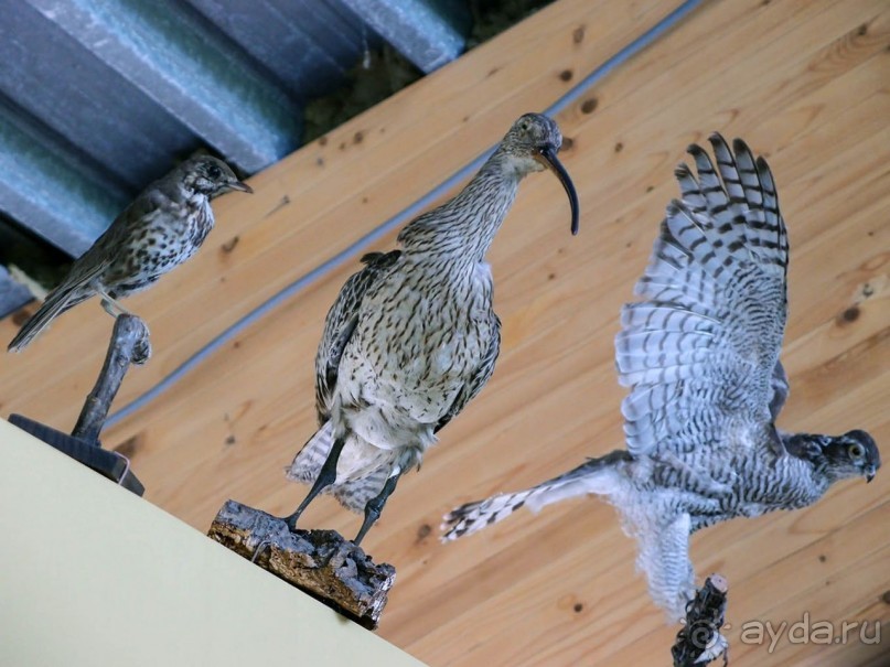 Дюны и музеи Раверсайде