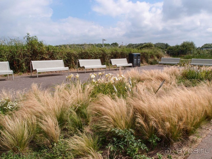 Дюны и музеи Раверсайде