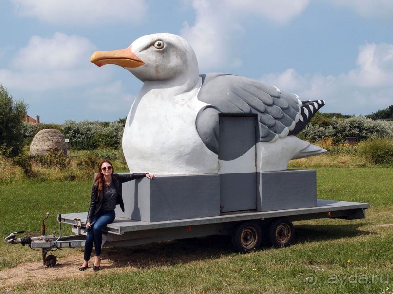 Дюны и музеи Раверсайде