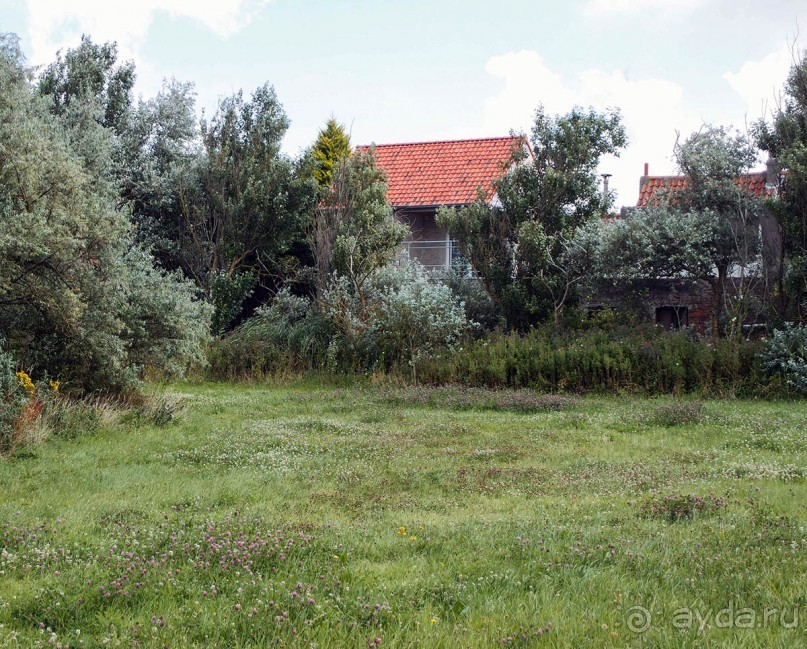 Дюны и музеи Раверсайде