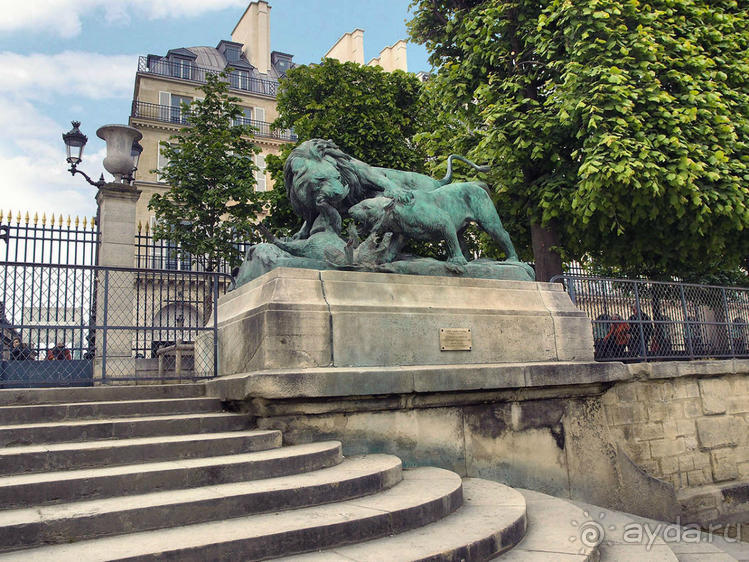 Впечатления