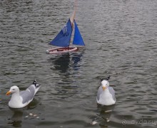 Впечатления