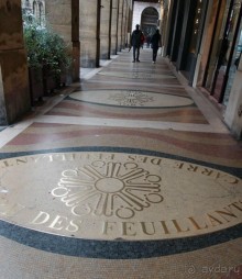 Впечатления