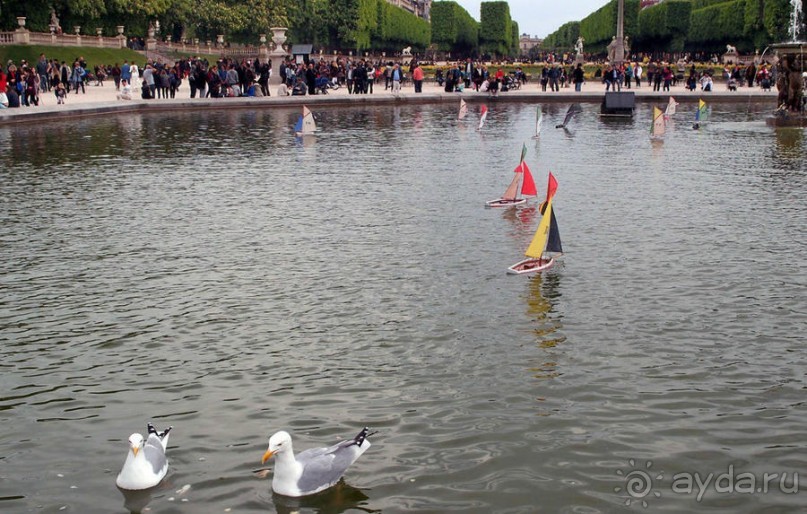 Впечатления