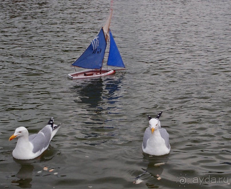 Впечатления