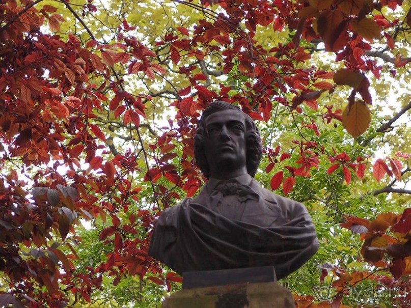 Впечатления