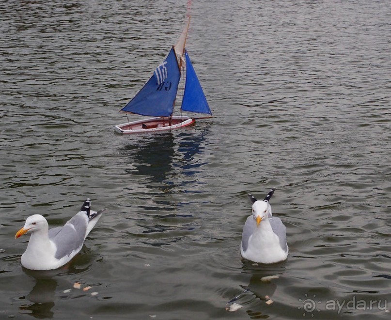 Впечатления