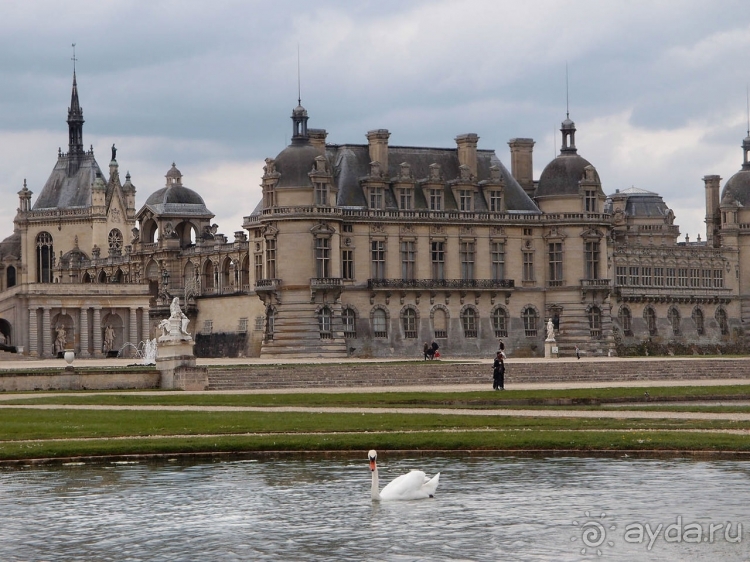 Лебединая сказка в парке Шантийи