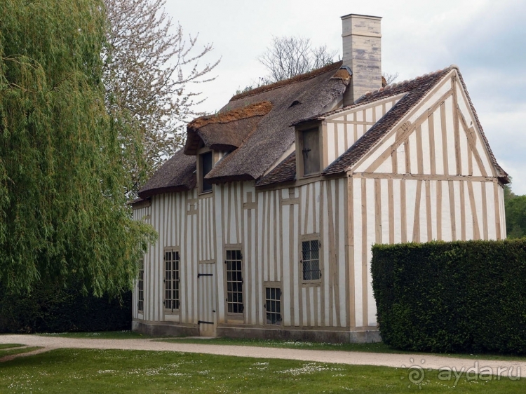 Лебединая сказка в парке Шантийи