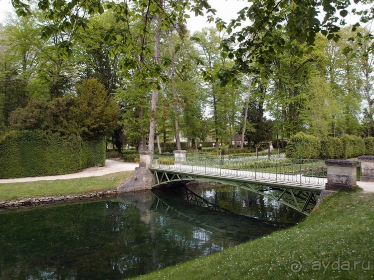 Лебединая сказка в парке Шантийи