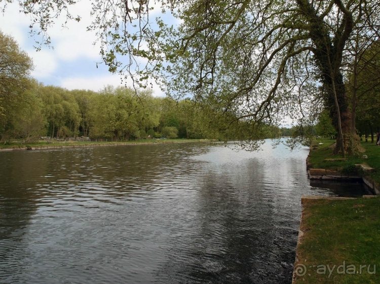 Лебединая сказка в парке Шантийи