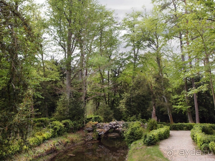 Лебединая сказка в парке Шантийи