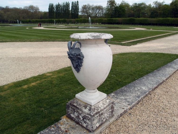 Лебединая сказка в парке Шантийи