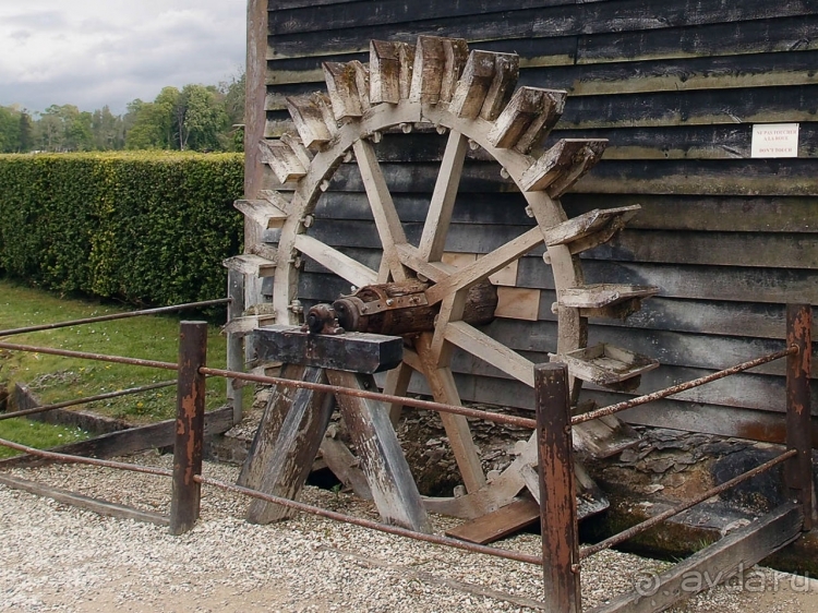 Лебединая сказка в парке Шантийи
