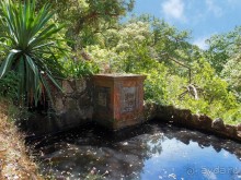 В волшебном царстве Монсеррат