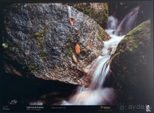 В волшебном царстве Монсеррат