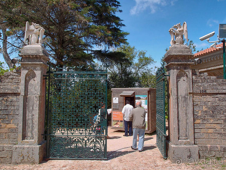 В волшебном царстве Монсеррат