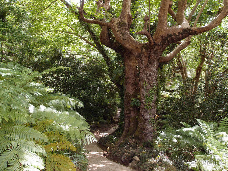 В волшебном царстве Монсеррат