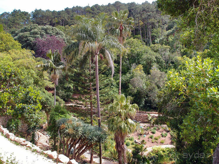 В волшебном царстве Монсеррат