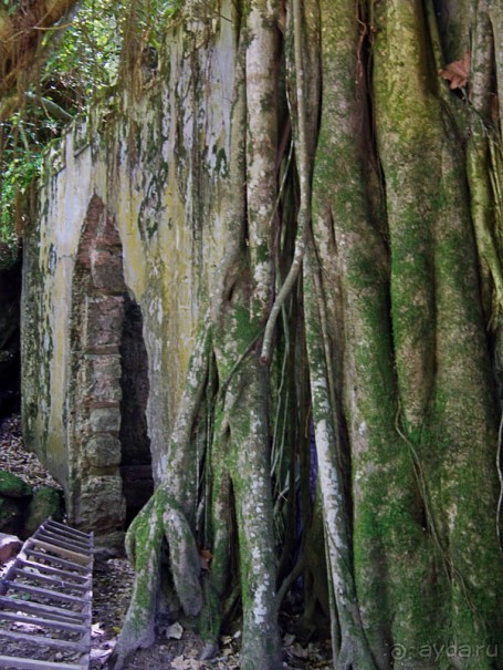 В волшебном царстве Монсеррат