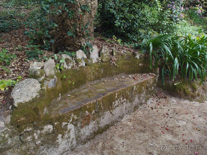 В волшебном царстве Монсеррат