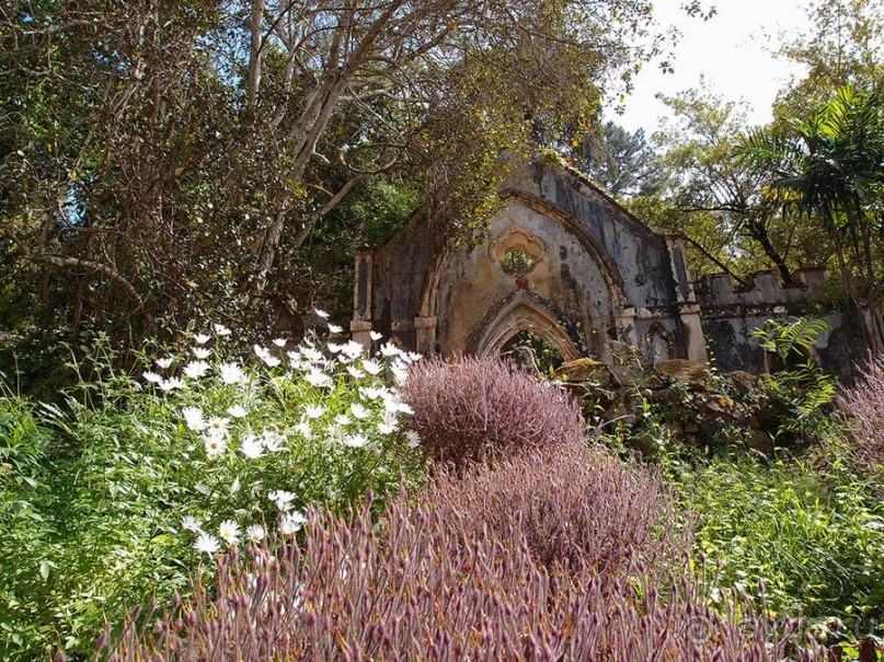 В волшебном царстве Монсеррат