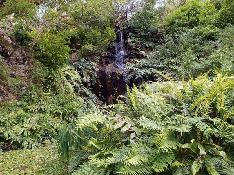 В волшебном царстве Монсеррат