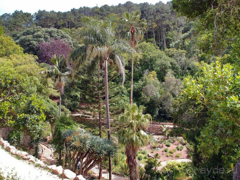 В волшебном царстве Монсеррат