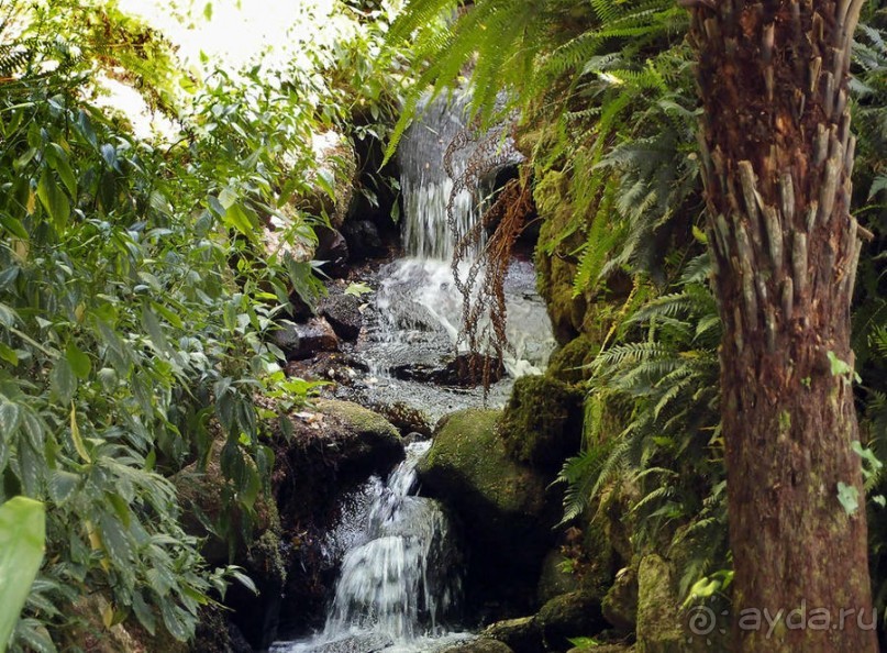 В волшебном царстве Монсеррат