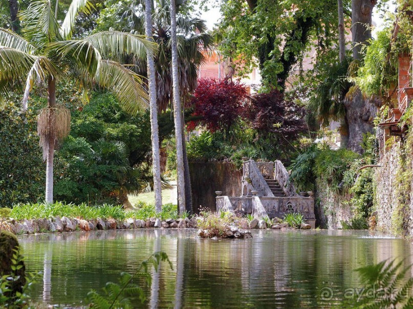 В волшебном царстве Монсеррат