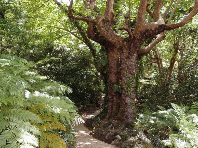 В волшебном царстве Монсеррат