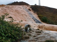 Альбом отзыва "В горах Большого Кавказа"