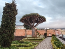 Балконы, драконы и геспериды 