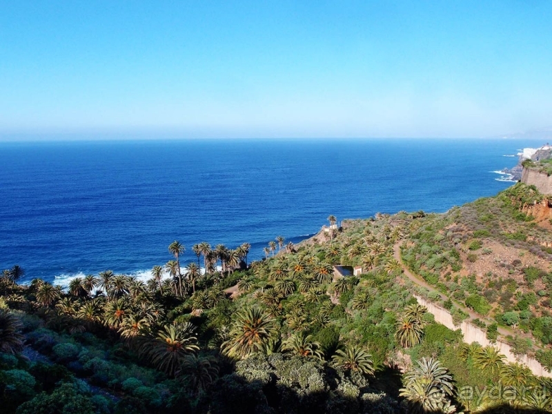 Балконы, драконы и геспериды 