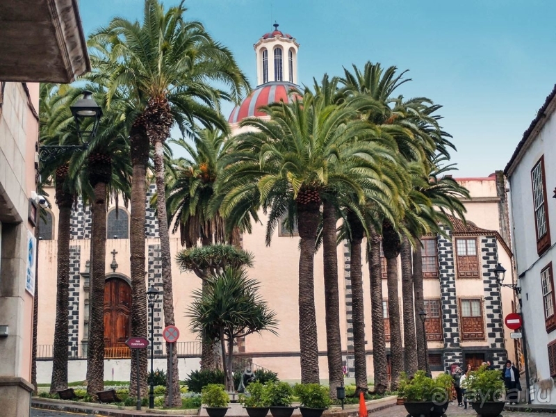 Балконы, драконы и геспериды 