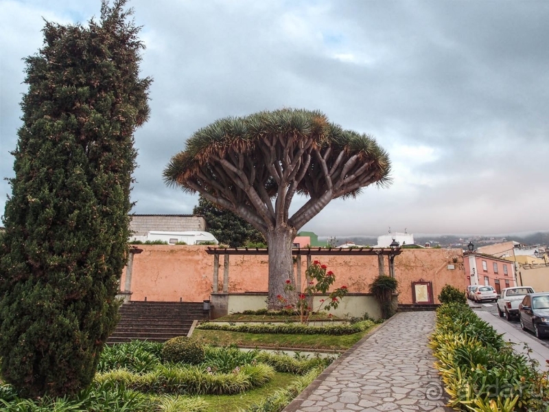 Балконы, драконы и геспериды 